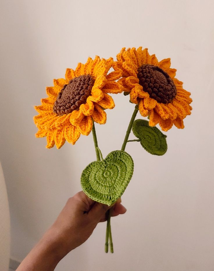 Surajmukhi + Free Gift