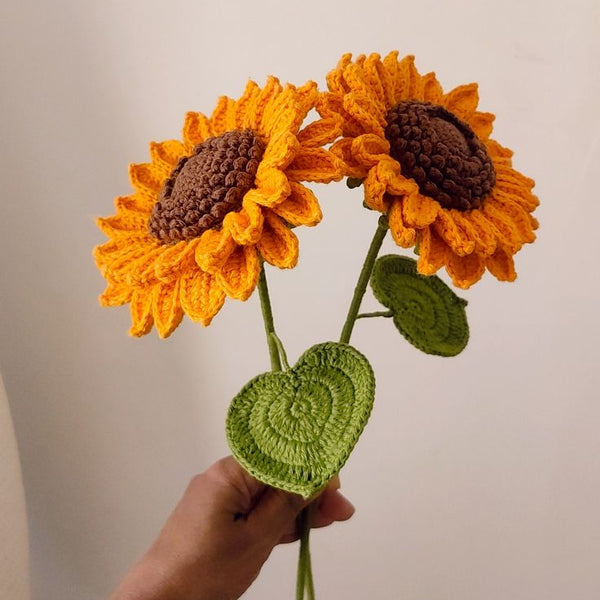 Surajmukhi + Free Gift