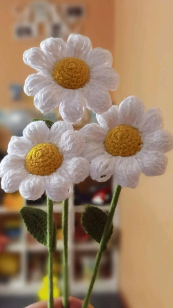 Daisy of your choice