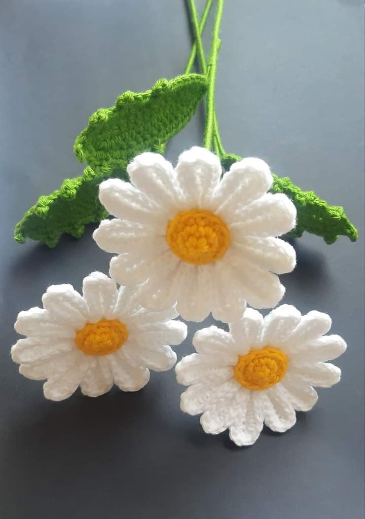Daisy of your choice