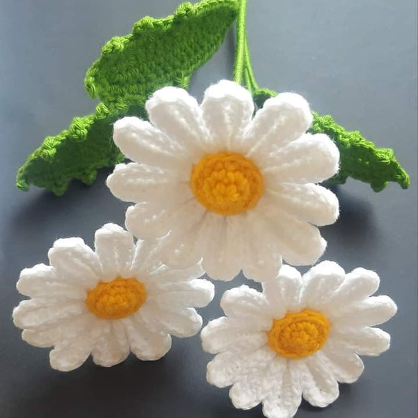 Daisy of your choice