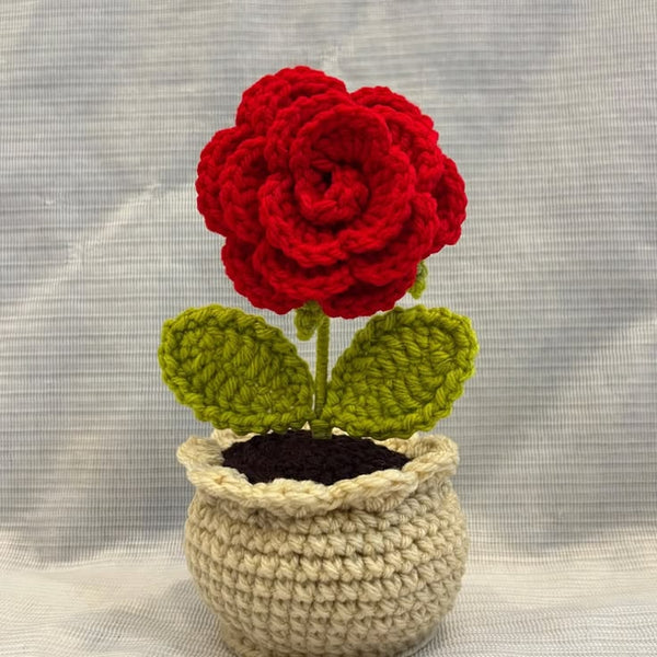 Rose Pot + Personalized Note