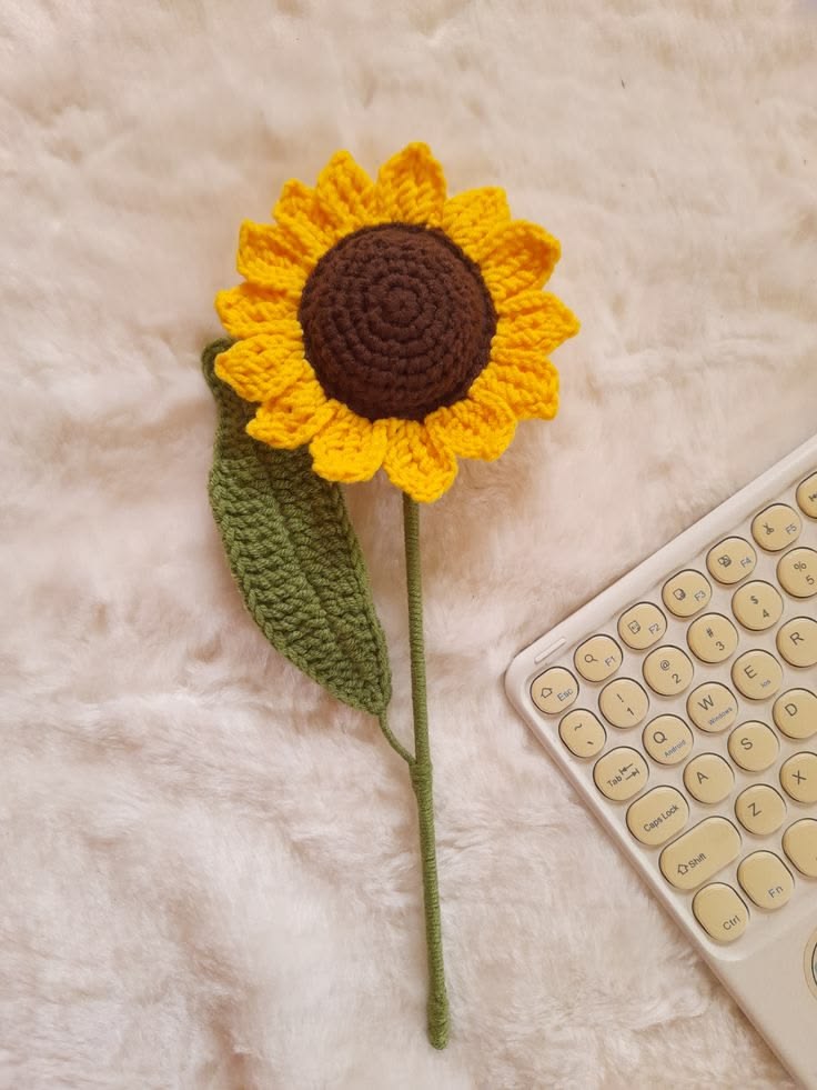 Sunflower of your choice