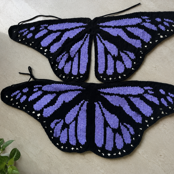 Butterfly Crochet Cardigan
