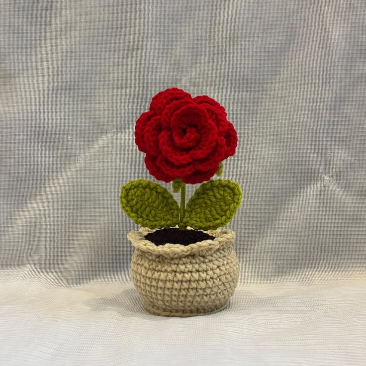 Rose Pot + Personalized Note