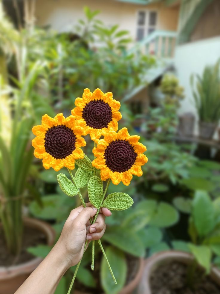 Sunflower of your choice