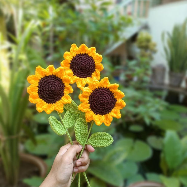 Sunflower of your choice